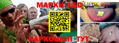 дмт Краснодар