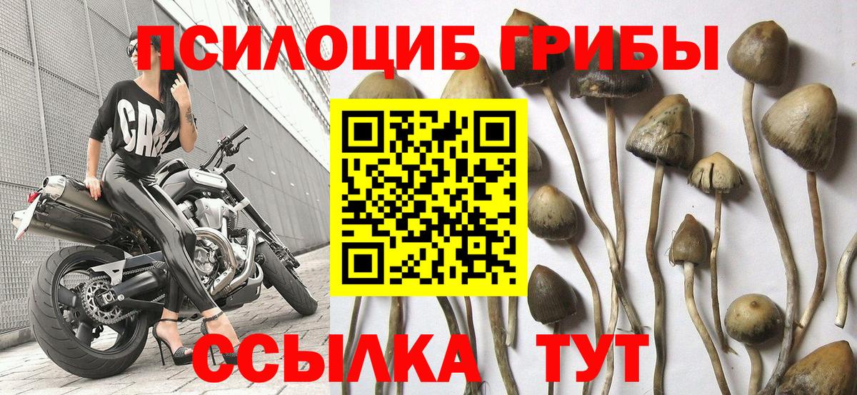 Галлюциногенные грибы мухоморы Ессентуки