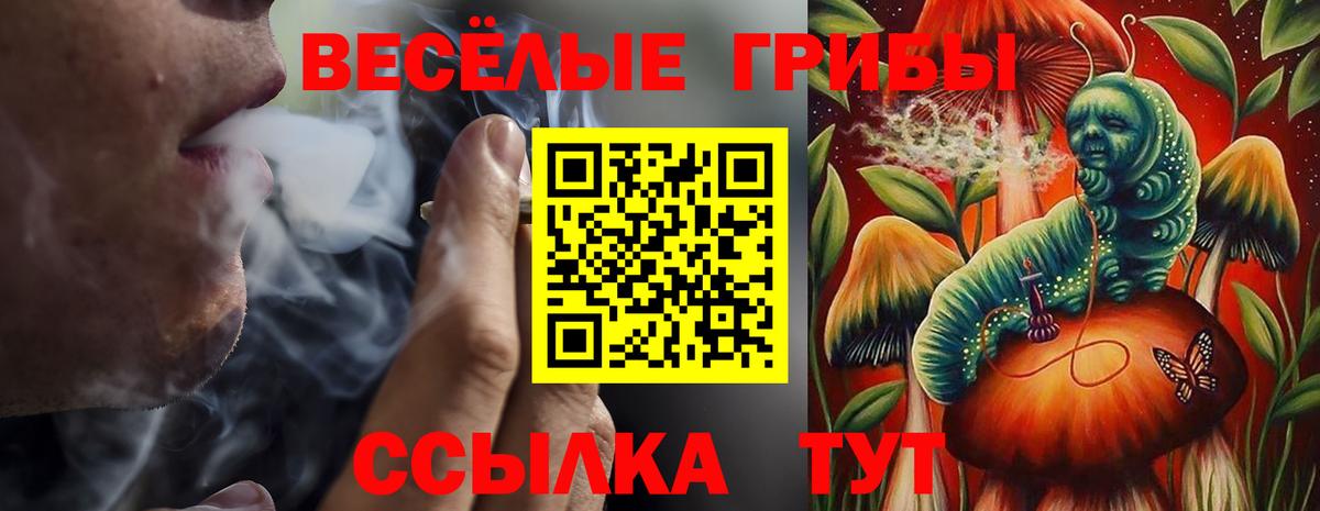 как найти наркотики  Псилоцибиновые грибы MAGIC MUSHROOMS  Вход с VPN  Ессентуки 